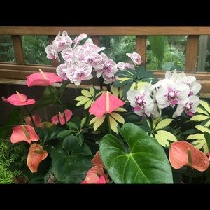 Meet your Posher, Annamaria